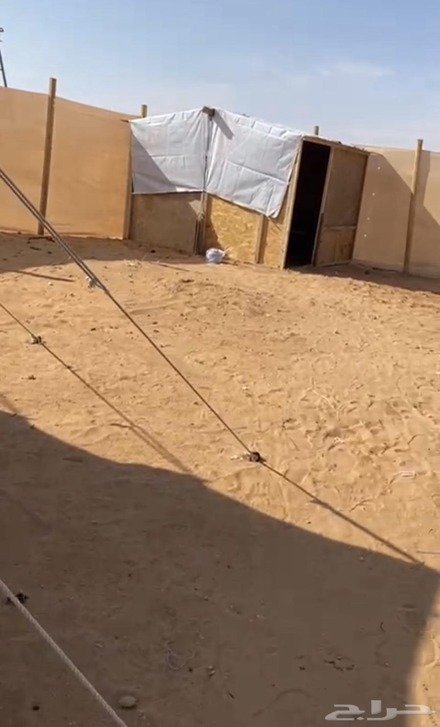 للبيع مخيم ب اغراضه كامله64381684917251111