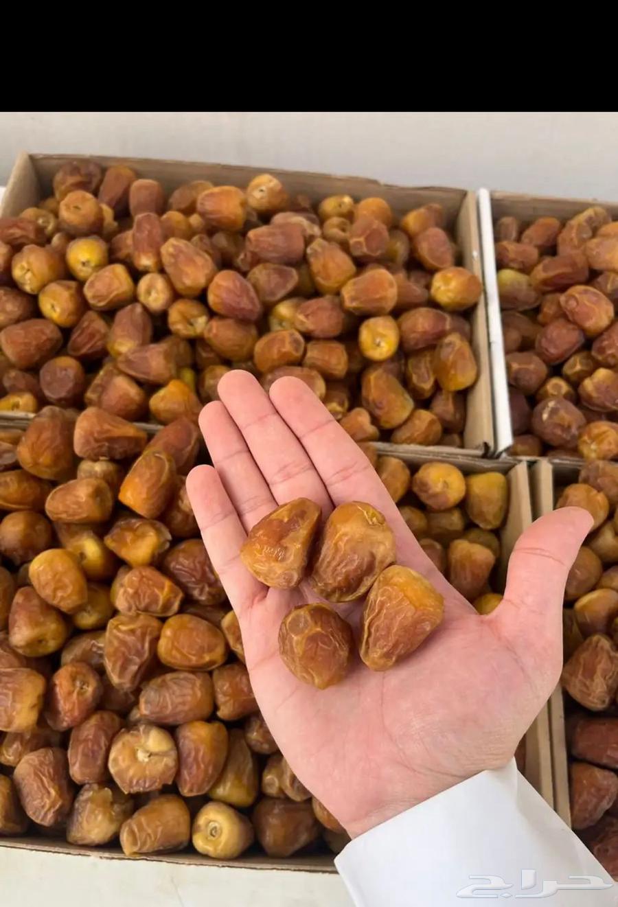 Qassim Dates64389210898563111