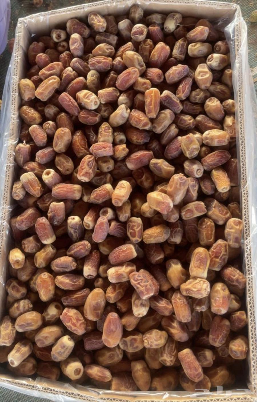 Tamr Saq'i64384576583297112