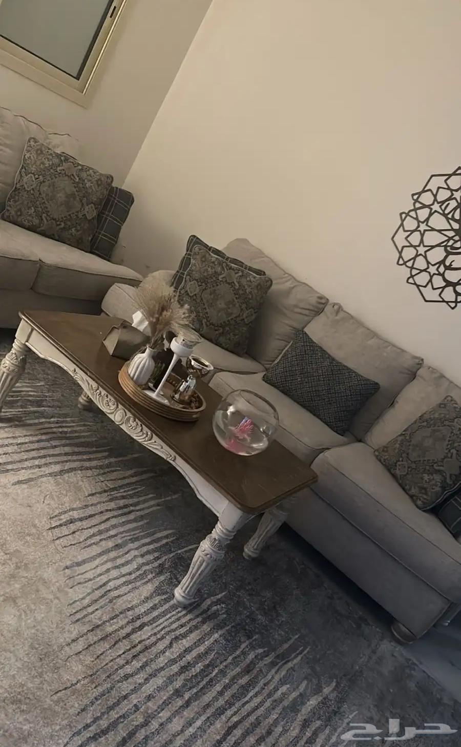 كنب للبيع للجادين التواصل واتس اب64382017948289111