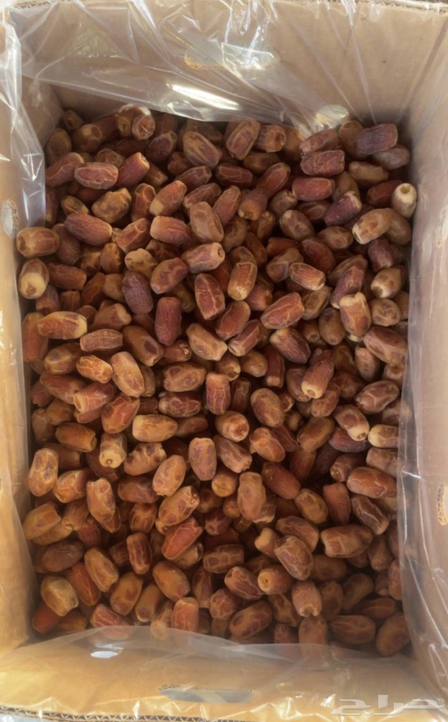 Tamr Saq'i64384576583297113