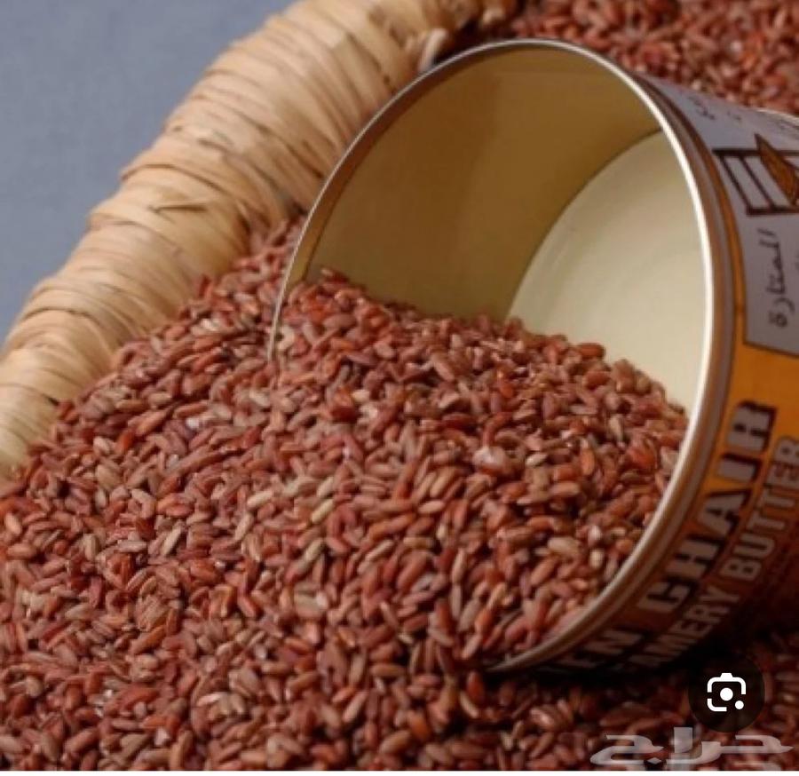 رز حساوي معتق درجة اولى64381630256643110