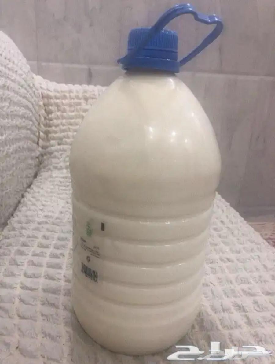 لبن بقر بلدي وطازج64389791779073110