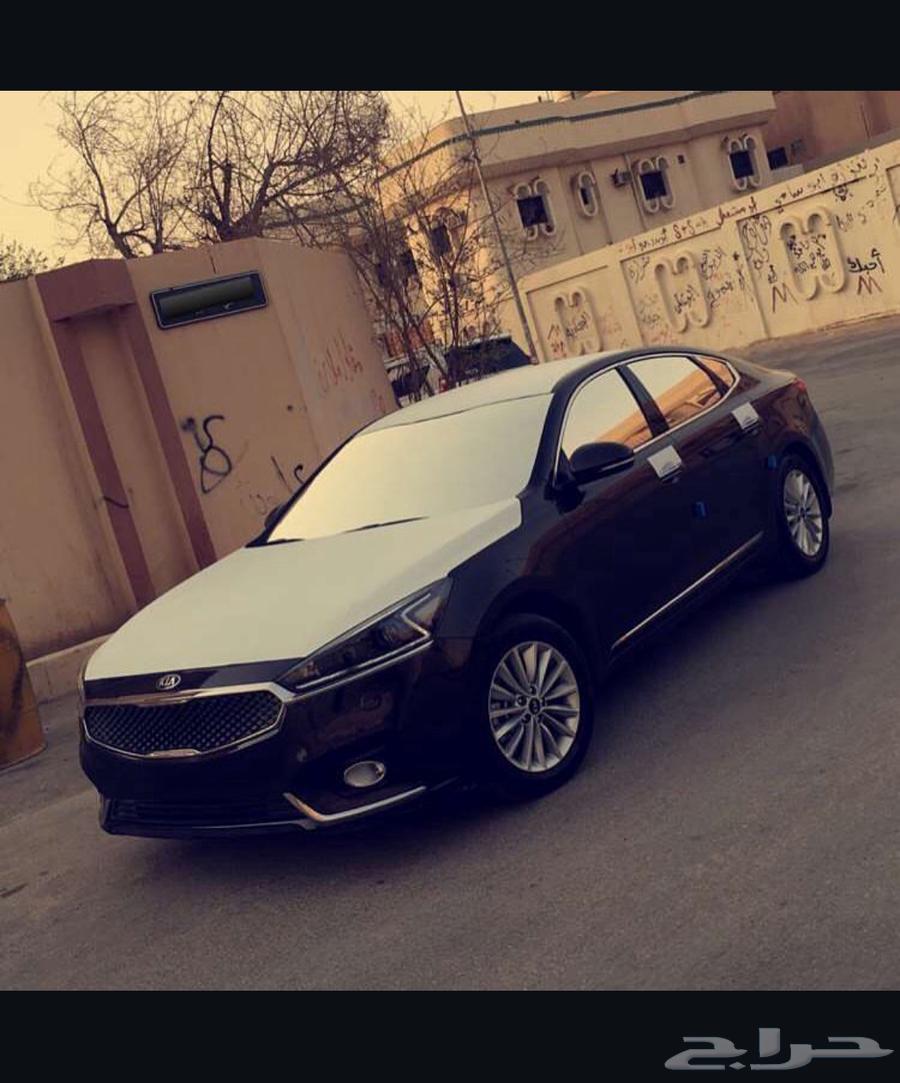 مطلوب كادينزا 17 ستاندر لون اسود نظيف حدود 5064521878838273110