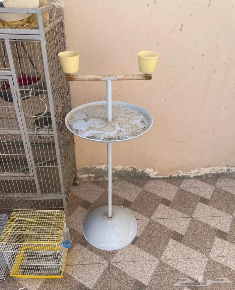 شبوك للبيع64379891249153111