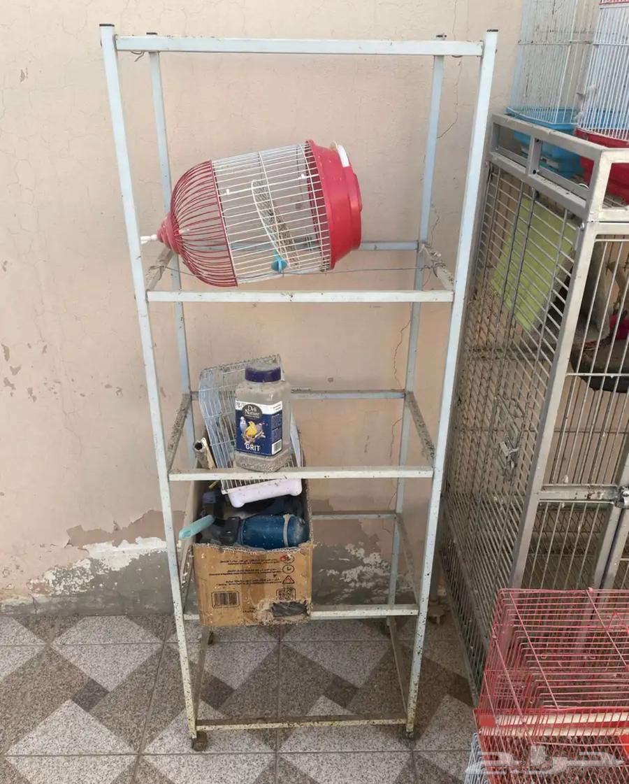 شبوك للبيع64379891249153110