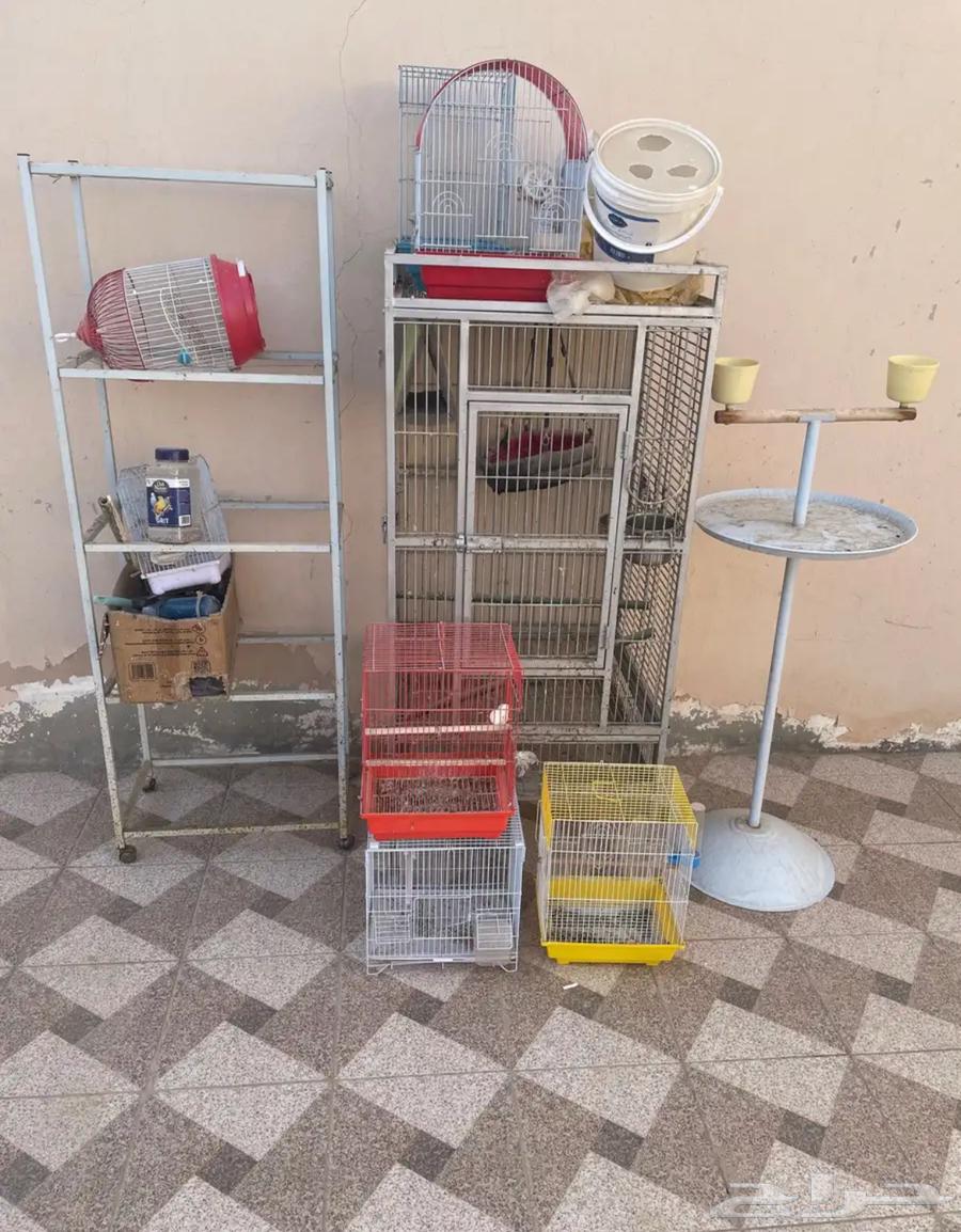 شبوك للبيع64379891249153112