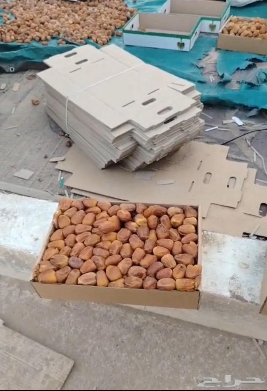 First Grade Sticky Twisted Dates and Galaxy64382418637059112