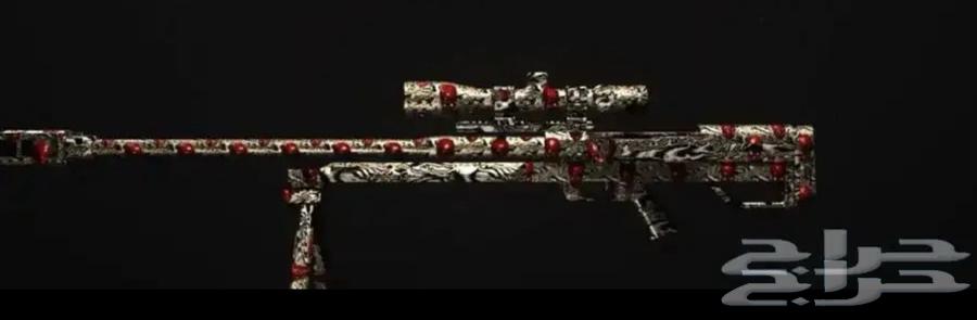 Copy weapon packages and colors you want mw3 code64378266622978113