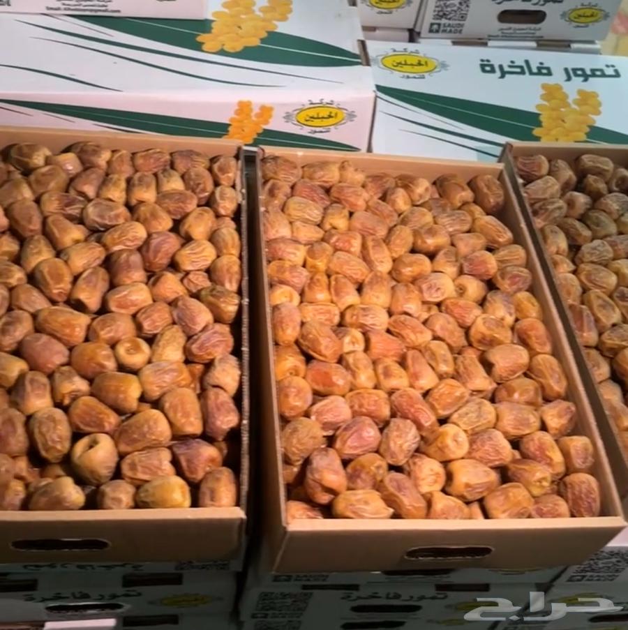 Tamr Sekri Mafatil64383871493249111