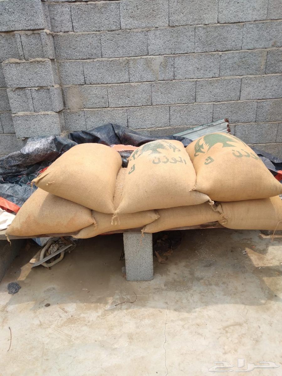 حب احمر خريف ذرة64383719008257111