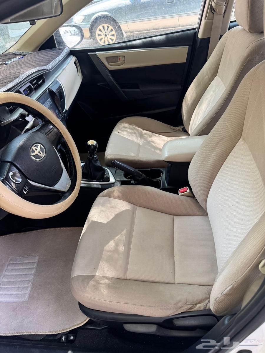 Korla 201564522443888897111