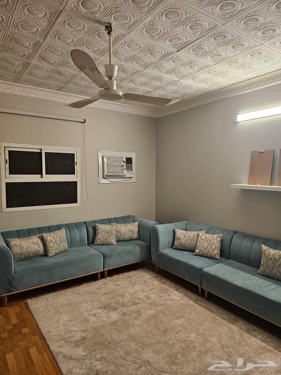 كنب اثاث زولية سجاد64385411677443111