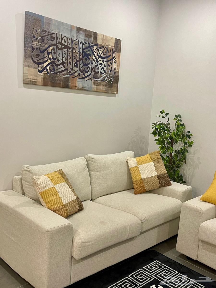 كنب استخدام نظيف64387509041281111