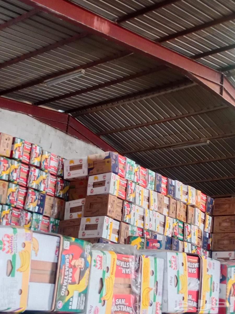 كرتون موز جديد تبع العثيم 20 كيلو الكميات مفتوحة64380874888834110