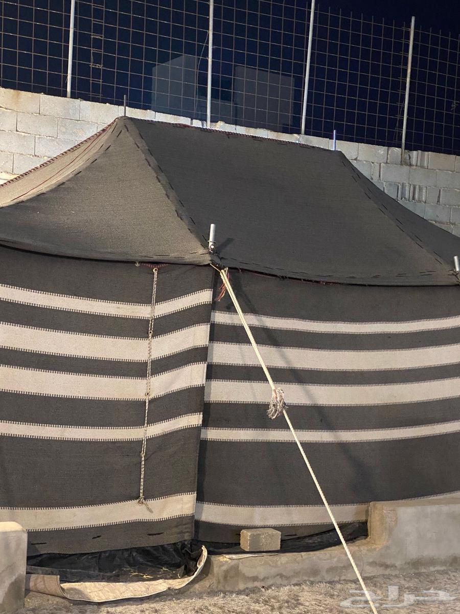 خيمه صناعه تركيه للبيع64383067040769111