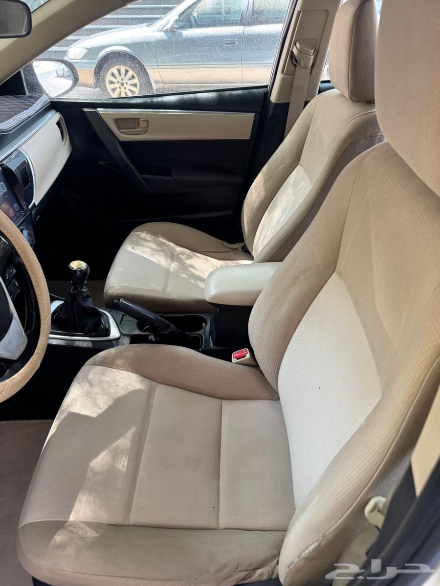 Korla 201564522443888897112