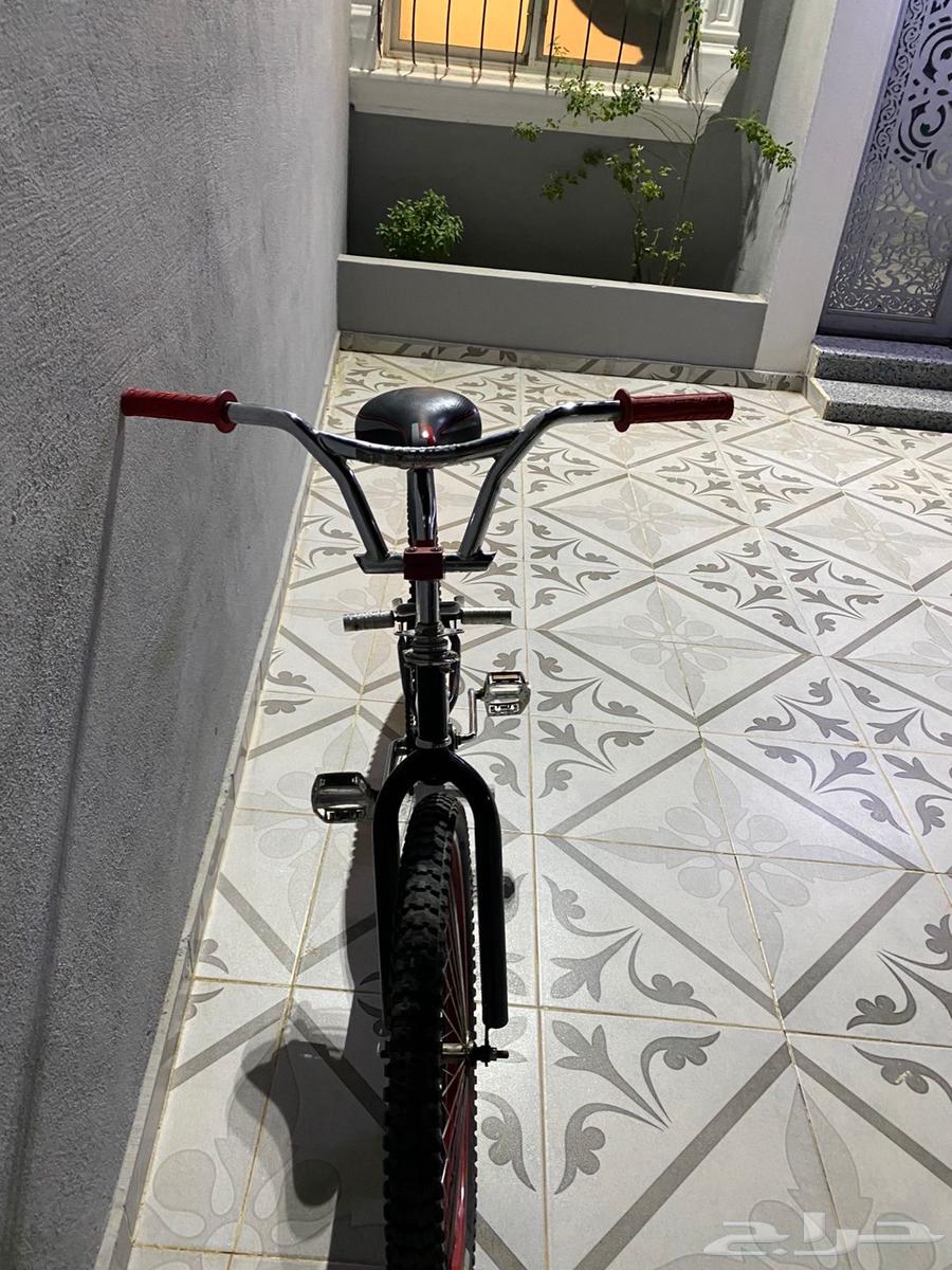 Cobra bicycle size 2464386627371137110