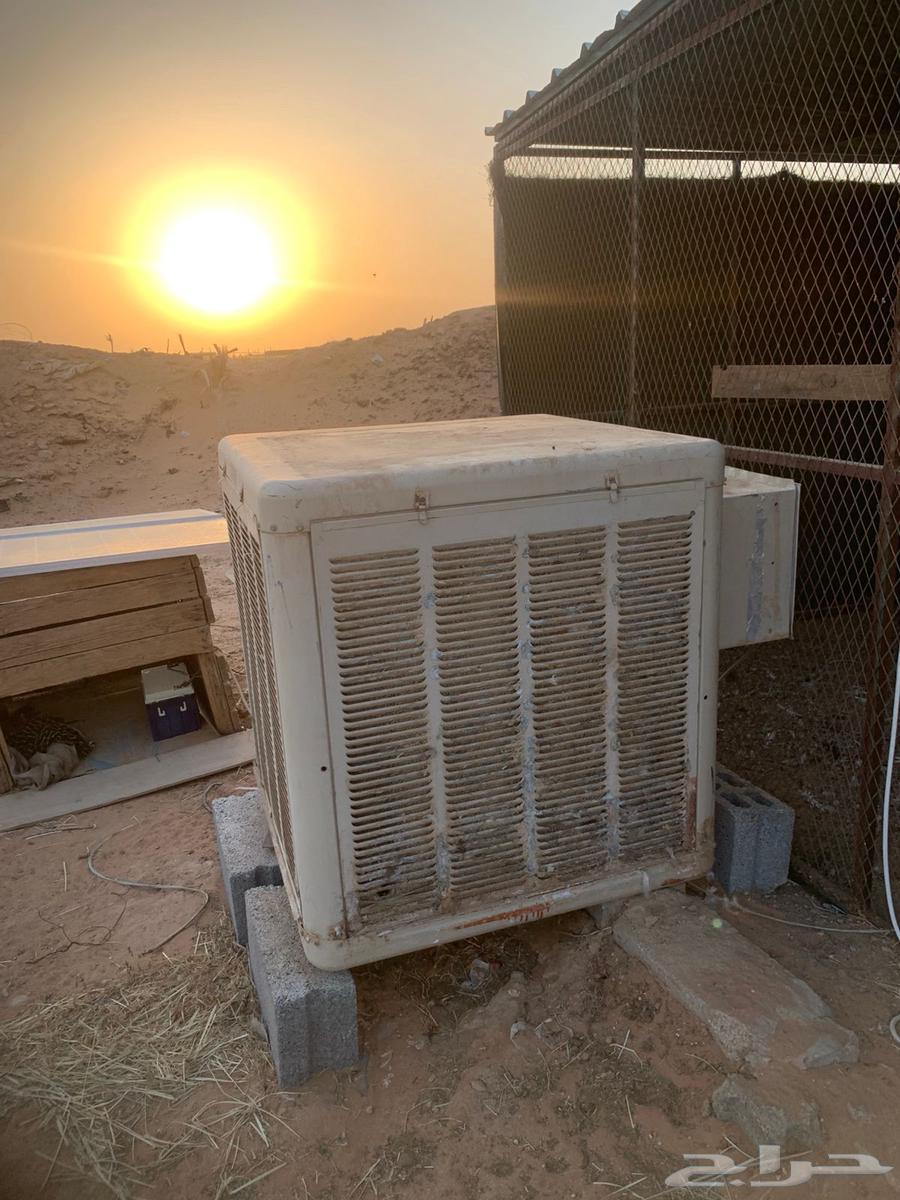 Solar Energy64389750589697110