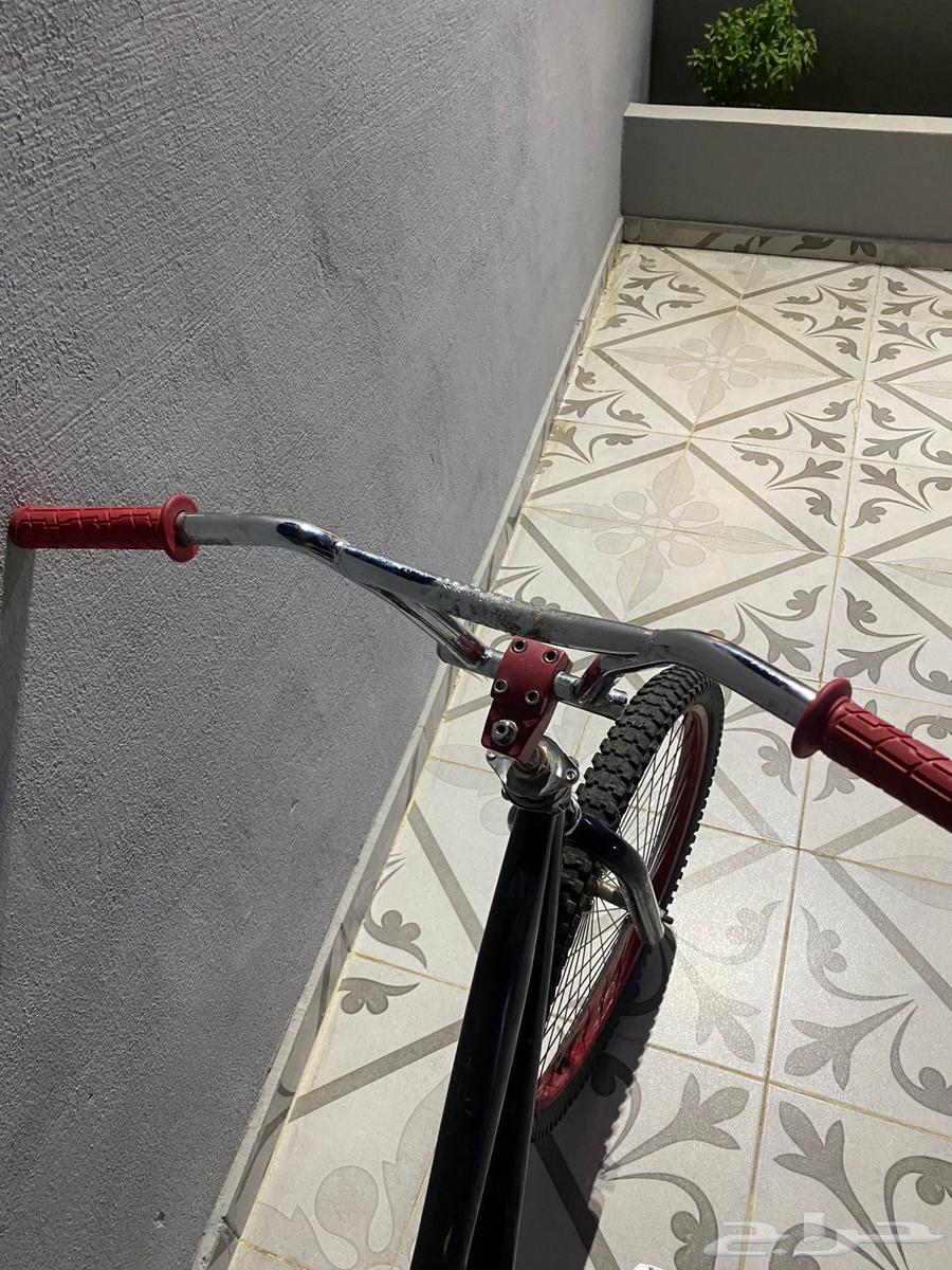 Cobra bicycle size 2464386627371137114