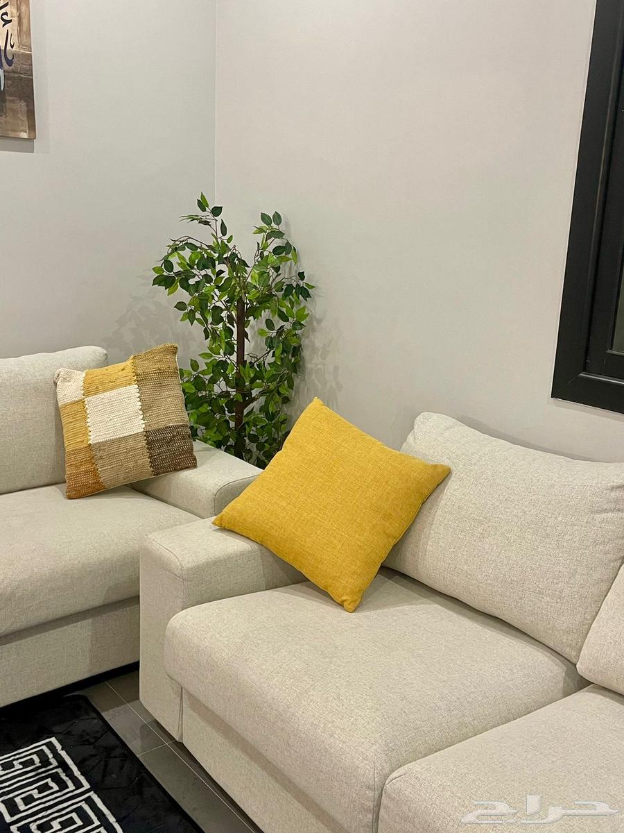 كنب استخدام نظيف64387509041281110