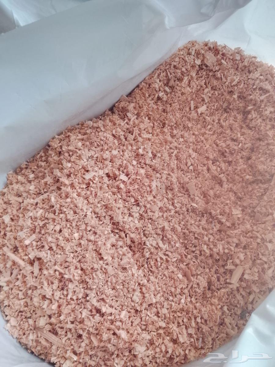 نشارة خشب الكيس 10 كيلو السعر 13 للكيس64382031762947111