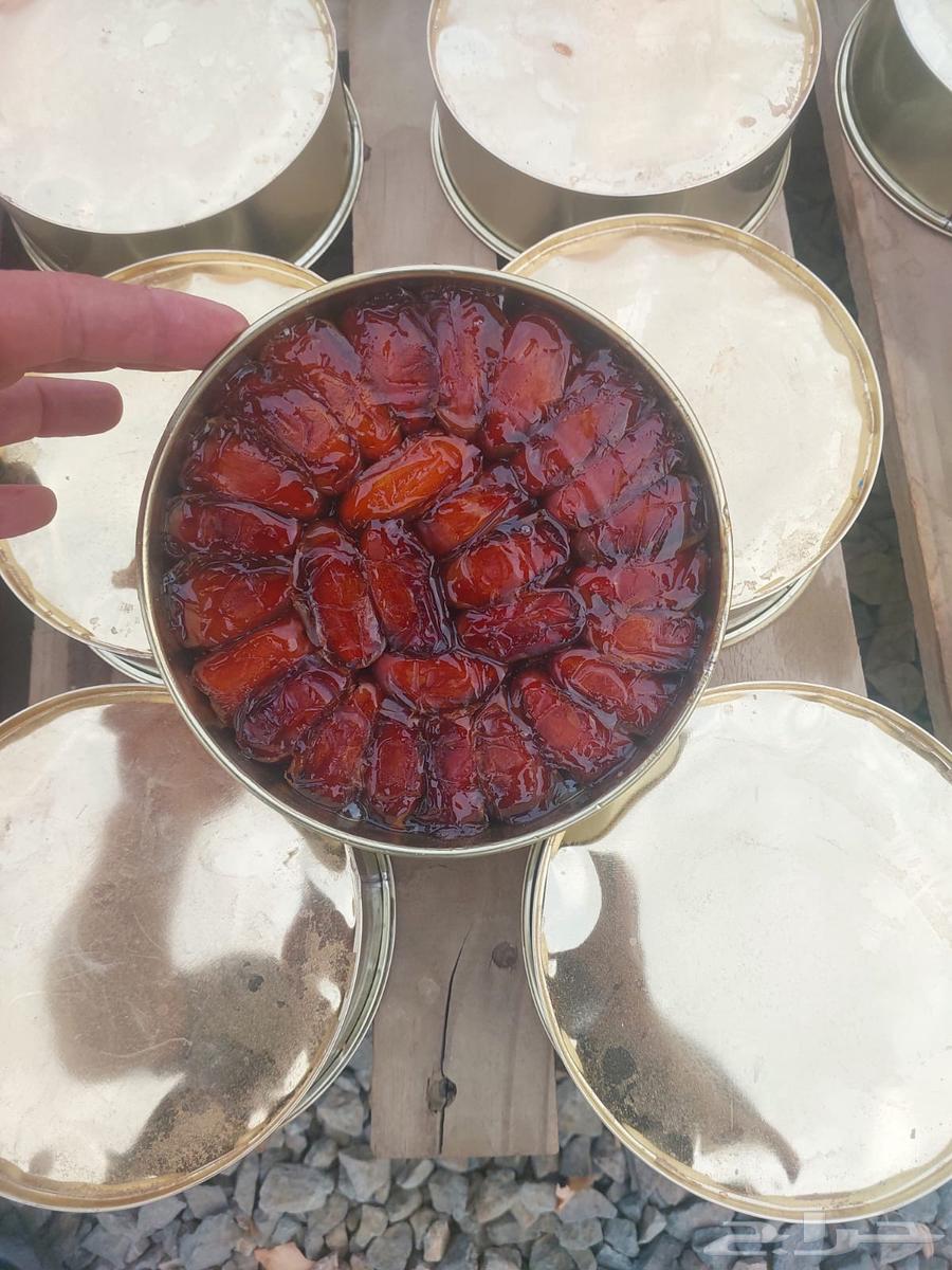 Safri Dates from Bisha, Golden Can, New Production64387132279426111