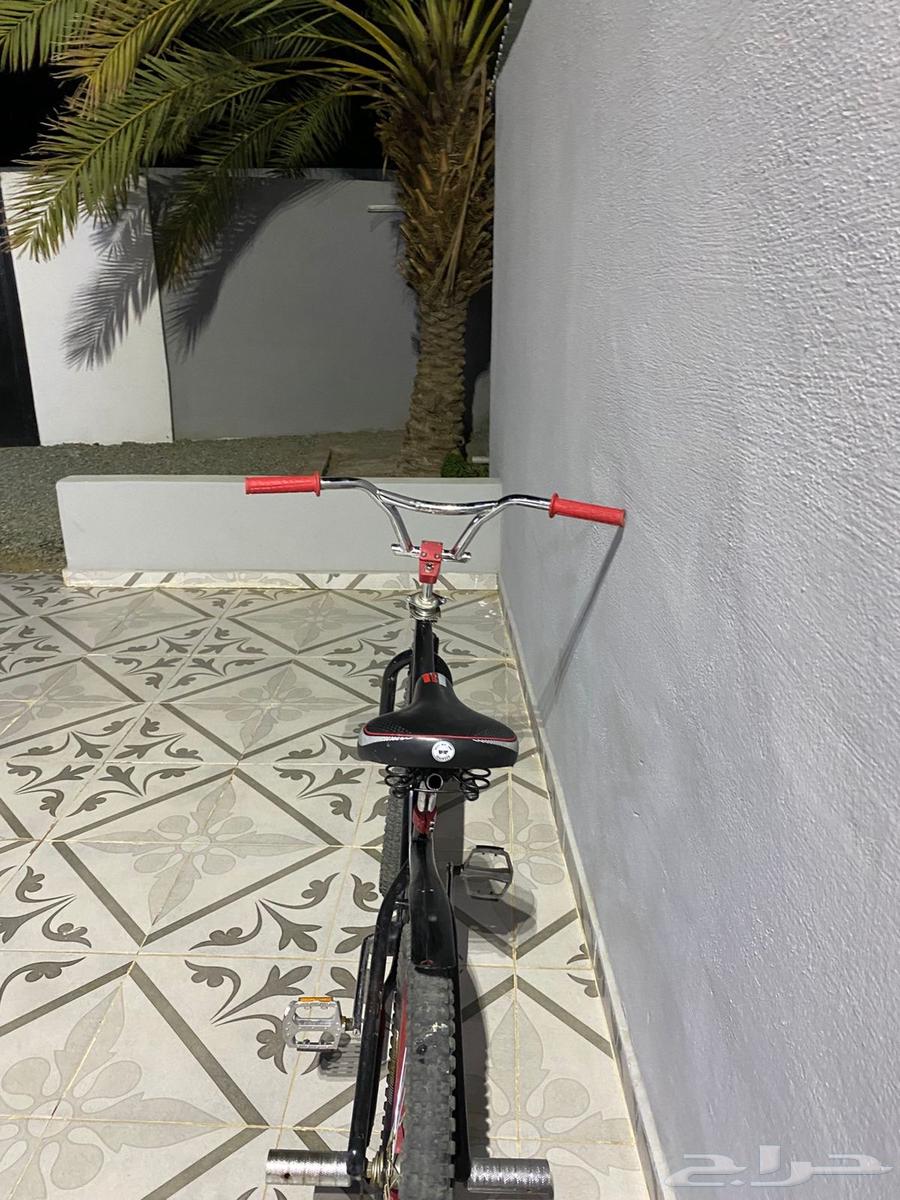 Cobra bicycle size 2464386627371137111