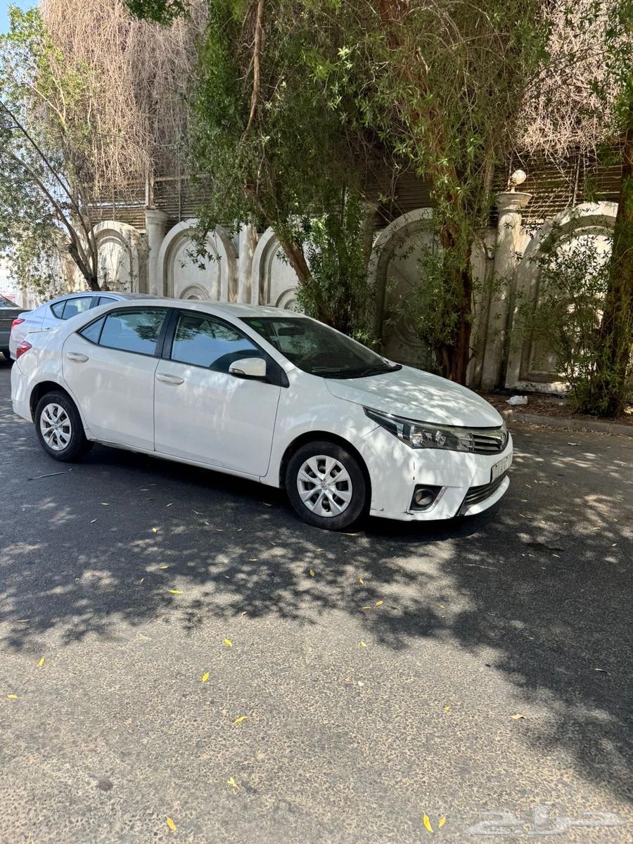 Korla 201564522443888897110