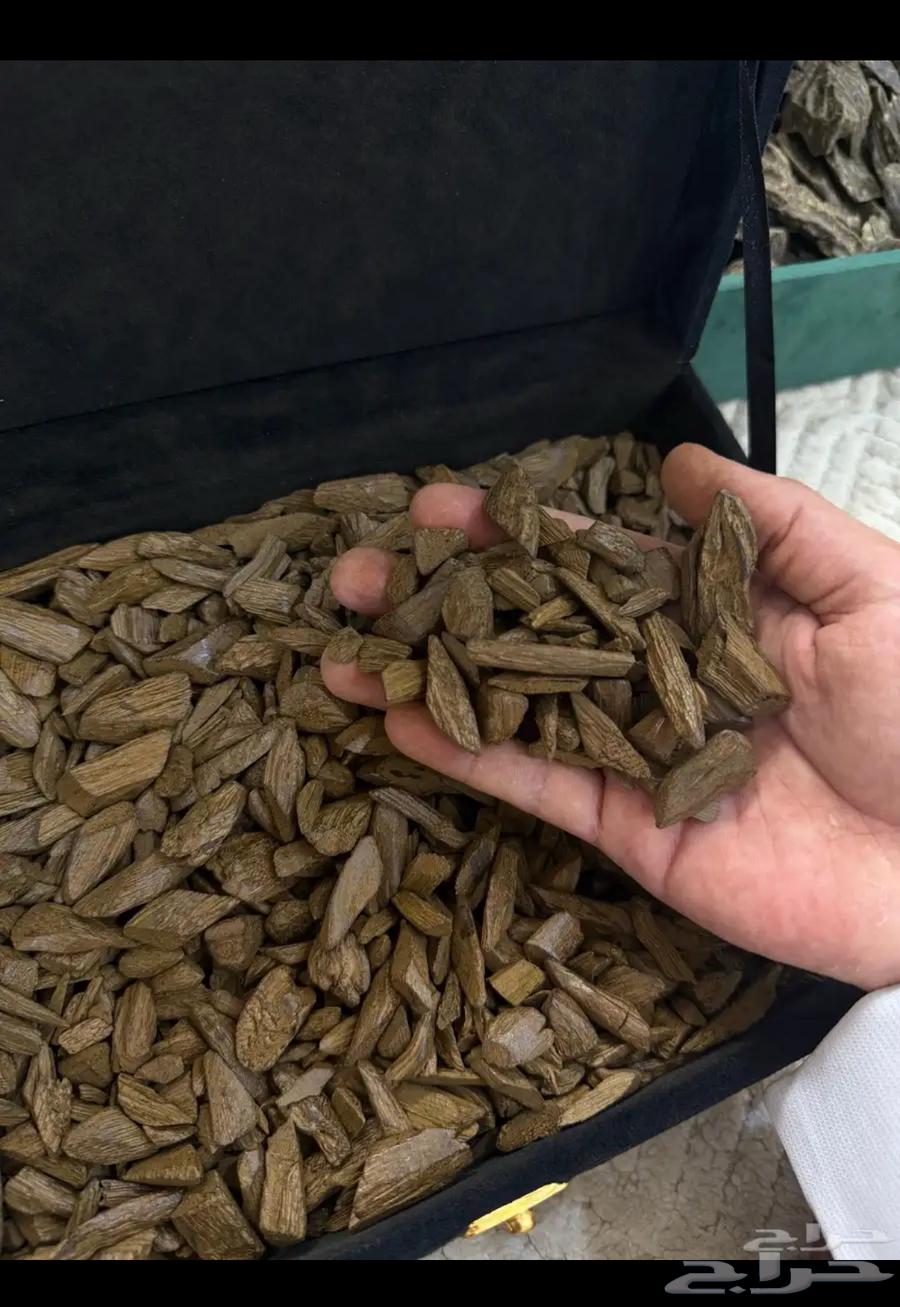 عود مروكي دقة اقل من سعر جملة64381273599874110