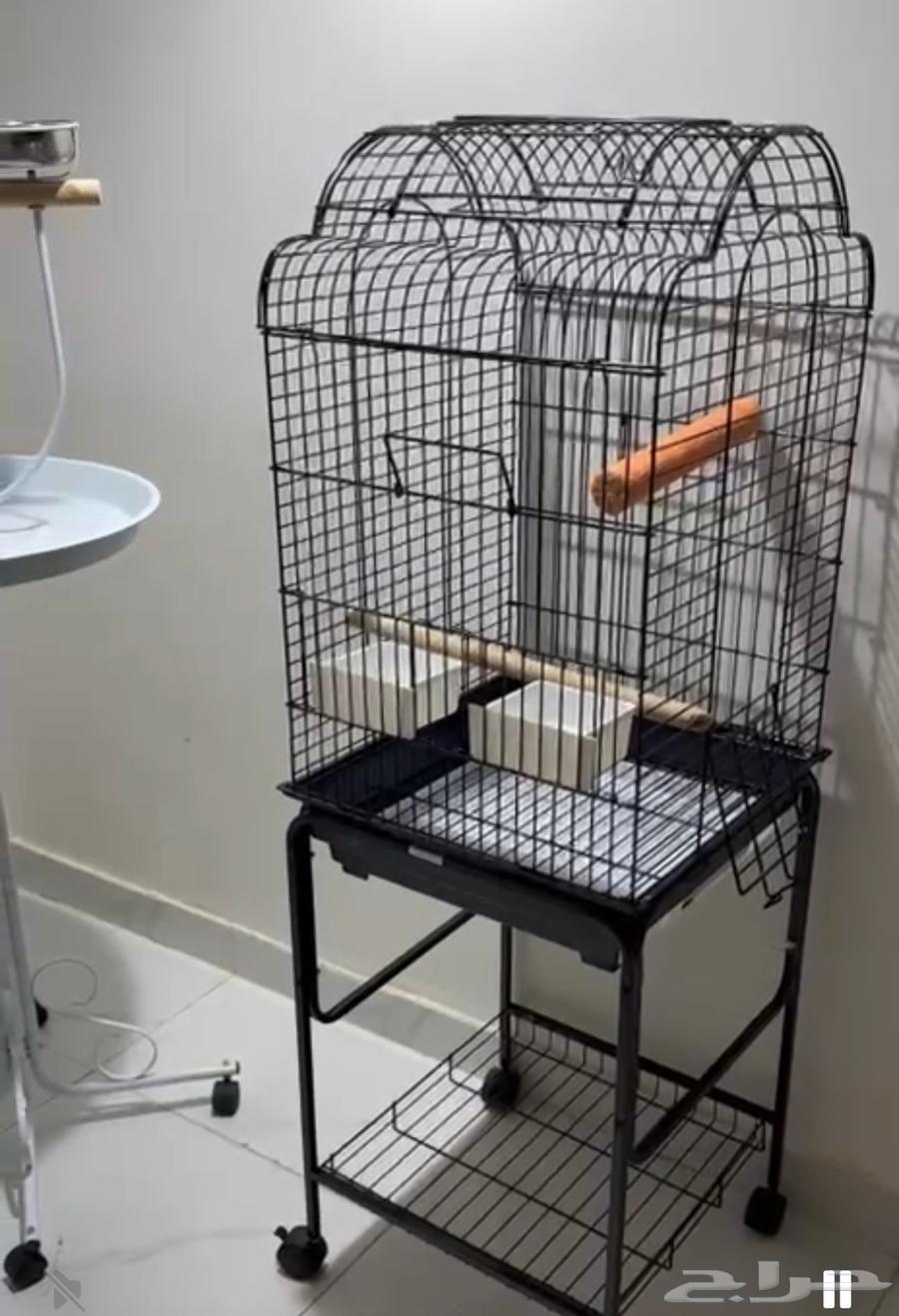 قفص بغبغاء او طيور وعصافير تكلفة الشراء 600 والبيع ب30064389350734979110