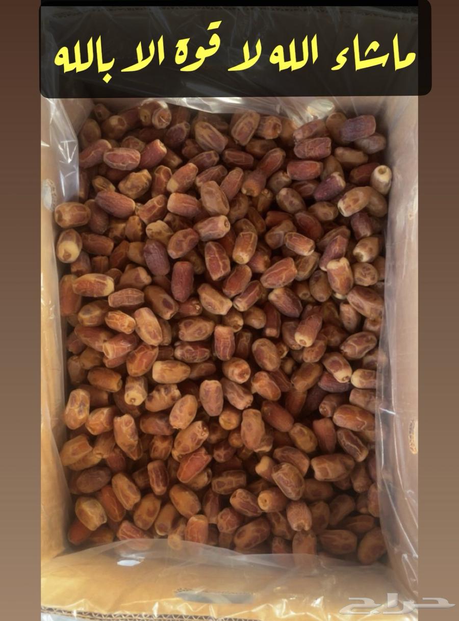 Tamr Saq'i64384576583297110