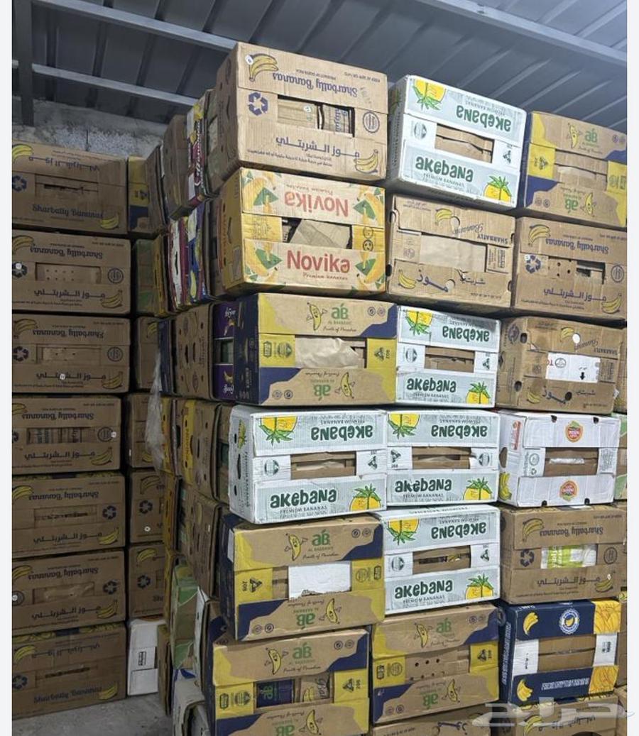 للبيع كرتين موز جدد سعر 4  الموقع الاحساء رقم64386235269251112