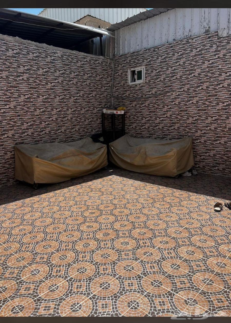 عماير ادوار شعبية64379891303938114