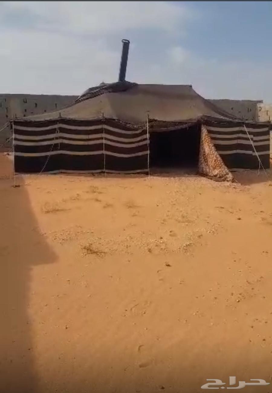 بيت شعر يحتاج ترميم بسيط 9 في 564385077454978113