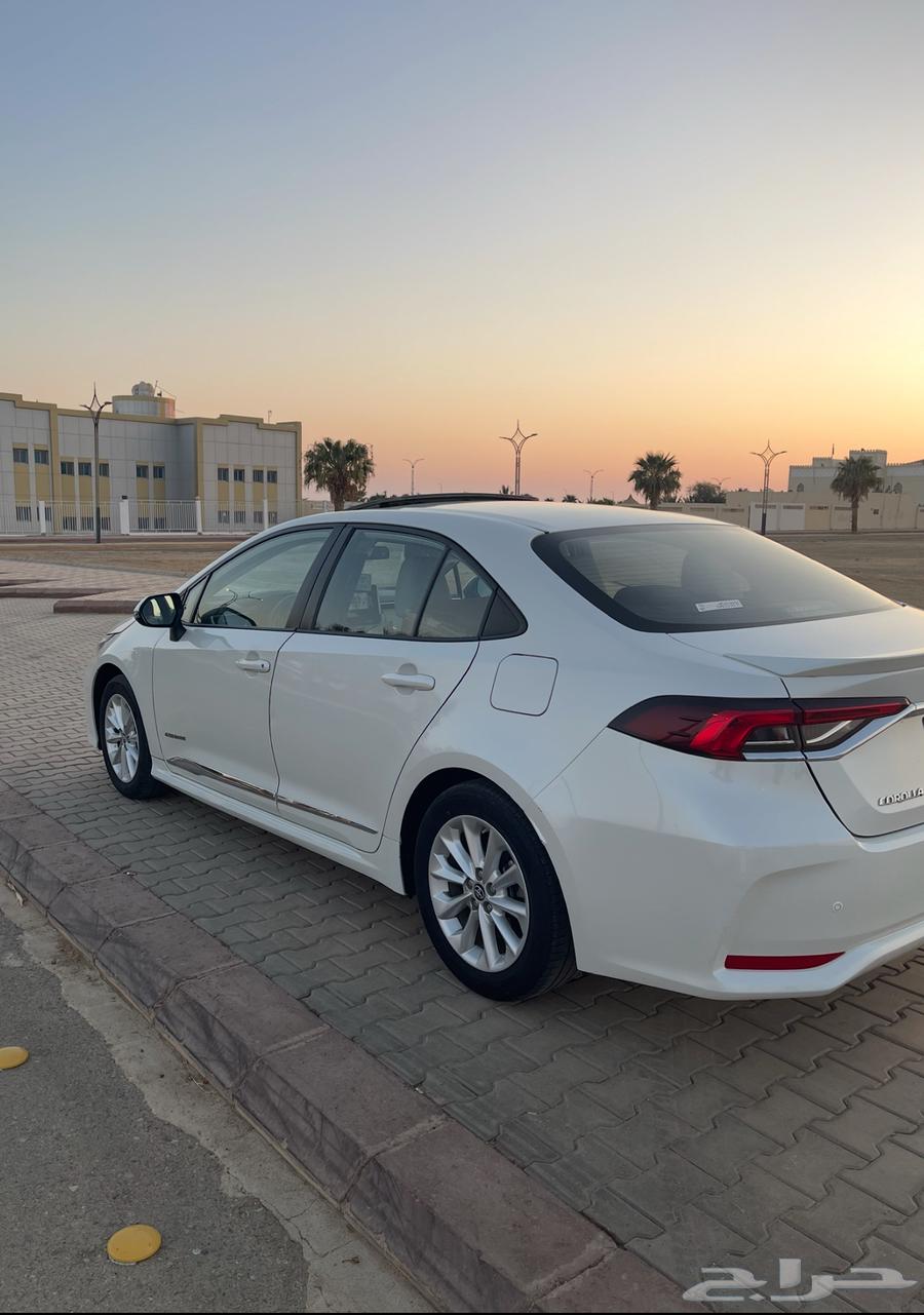 Korla 2020 Full Option Opening64509828054657113