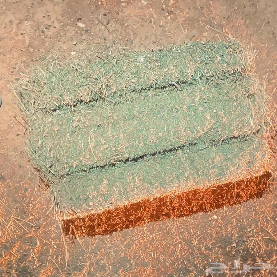 برسيم للبيع الموقع حائل64385147504771110