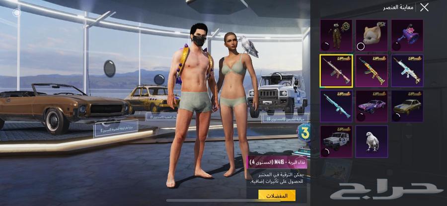 حساب ببجي للبيع التسليم يد بيد64382679635329111