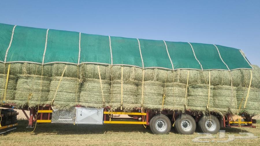 رودس تماتيك جديد وزنه من 220 كيلو إلى 25064386096299779110