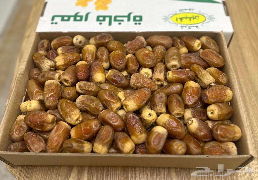 Tamr Saqei64391797665794110