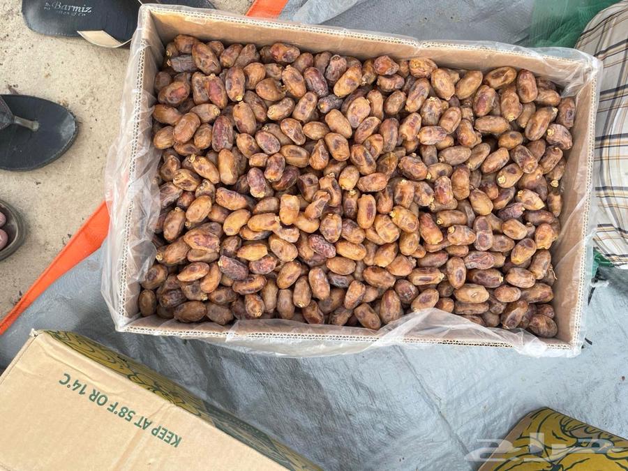 Tamr Khalas64386697101955110