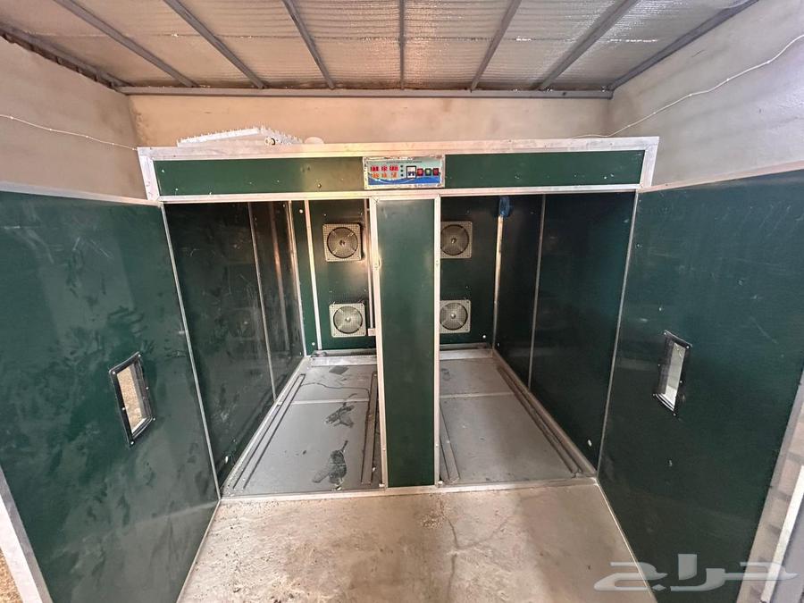 للتقبيل موقع كامل متكامل للدواجن63614078682753111