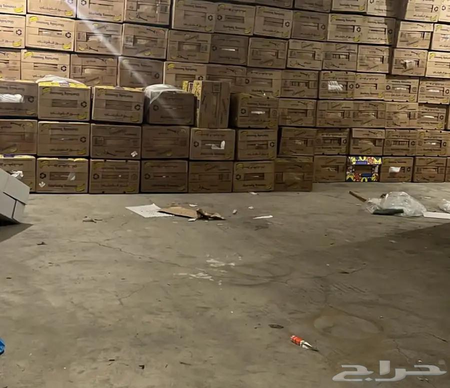 كرتون موز جديد64377520903937112