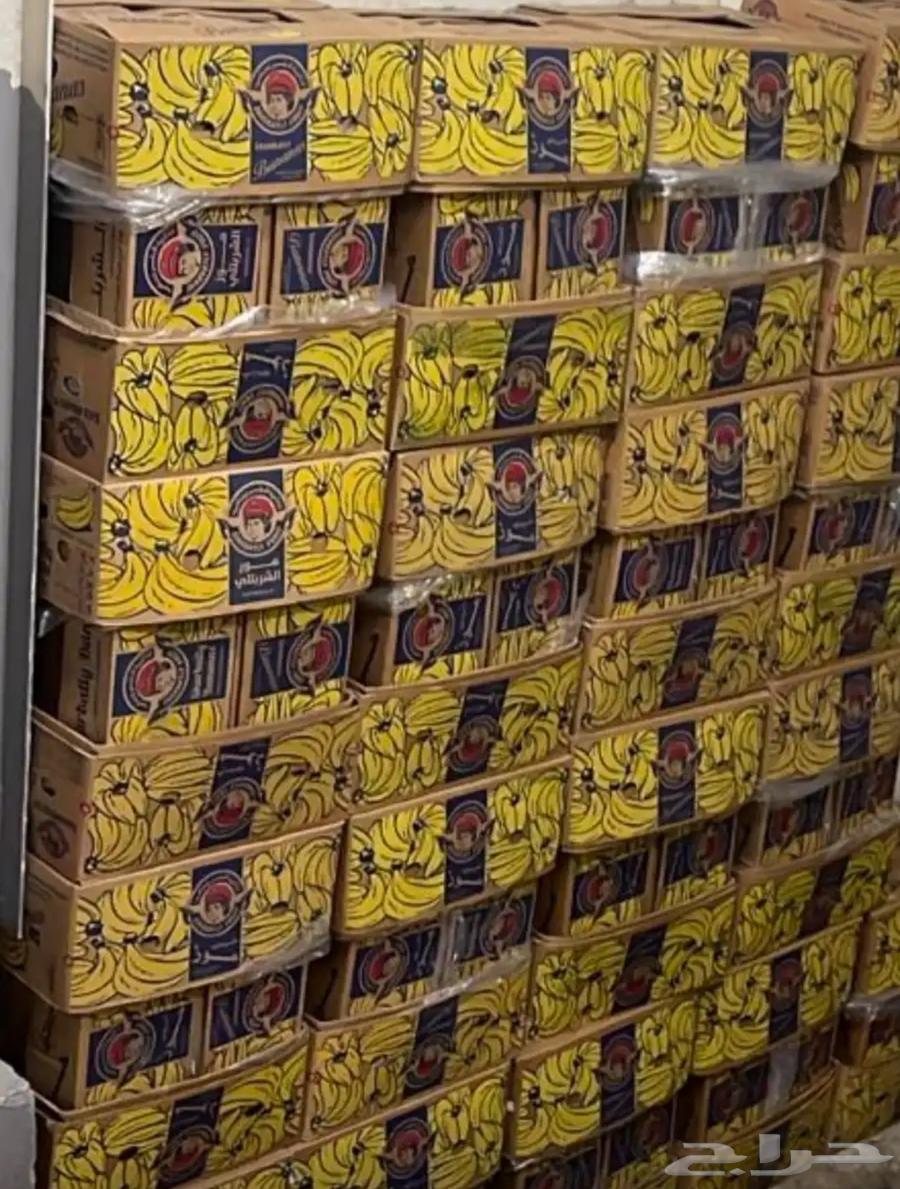 كرتون موز جديد64377520903937111