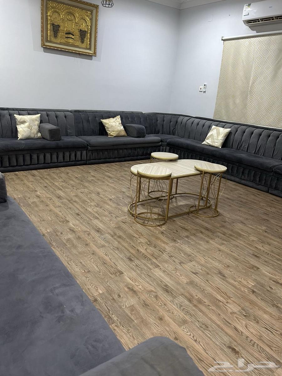 كنب شبه جديد مافيه اى شى خربان ابغ فيه 150064391948611459111