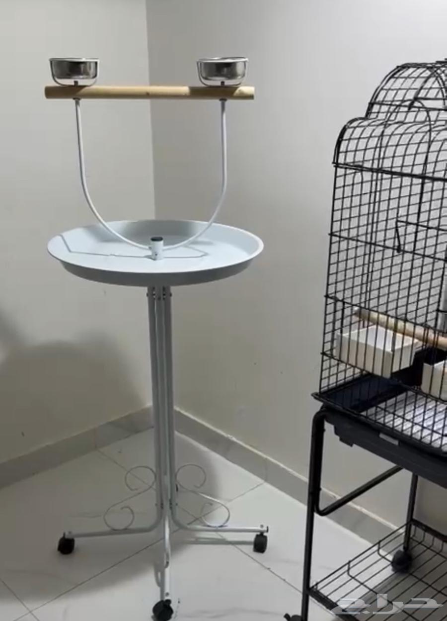 قفص بغبغاء او طيور وعصافير تكلفة الشراء 600 والبيع ب30064389350734979111