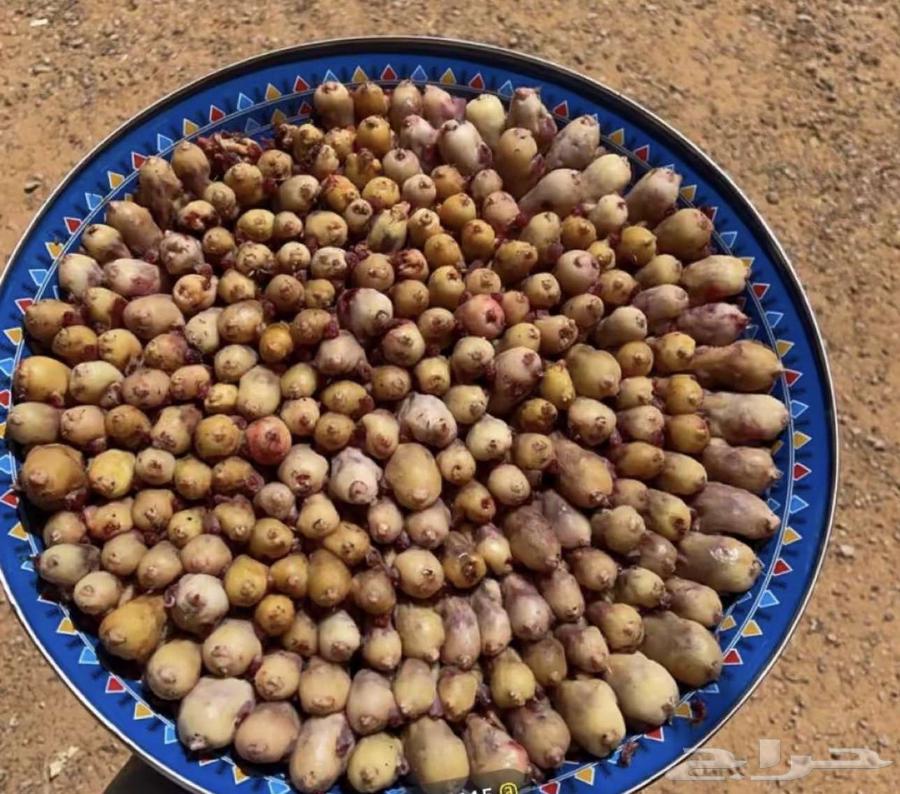 بقلاوه مصر ( جديد)64389488309633111