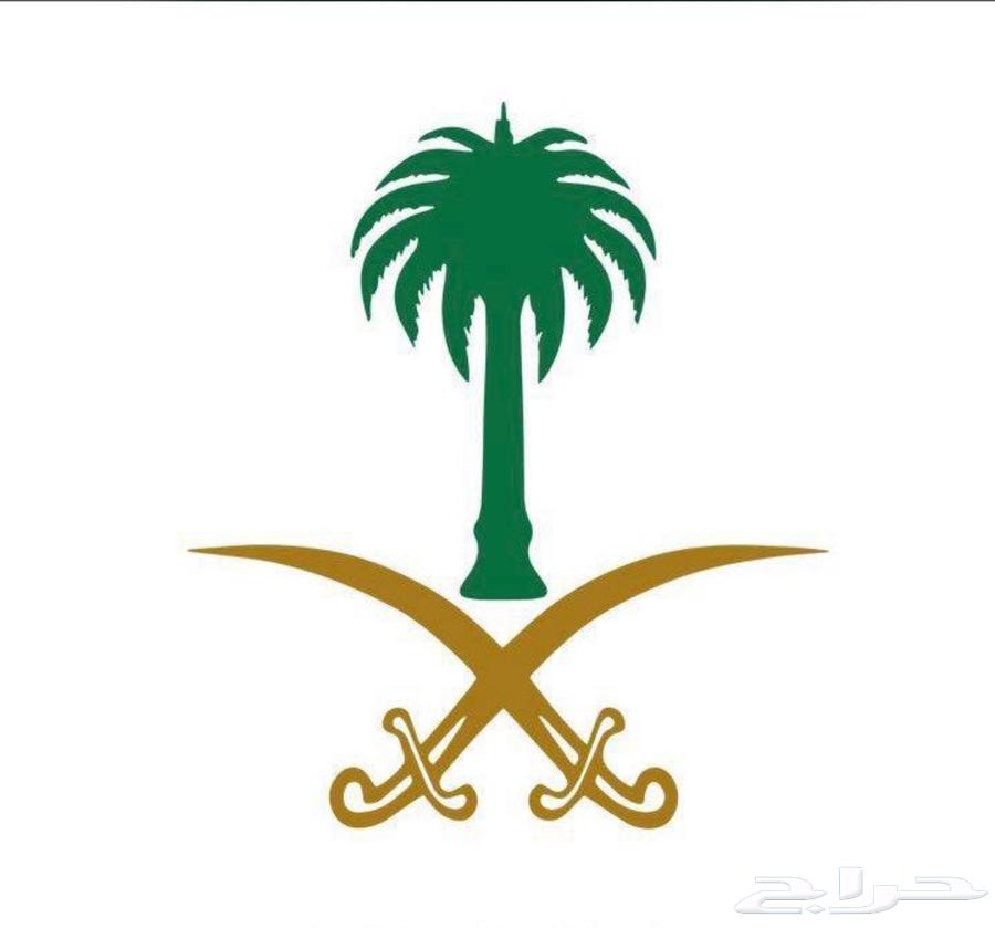 لوحة مميزة للبيع( ا ل ن 6)64529292185218110