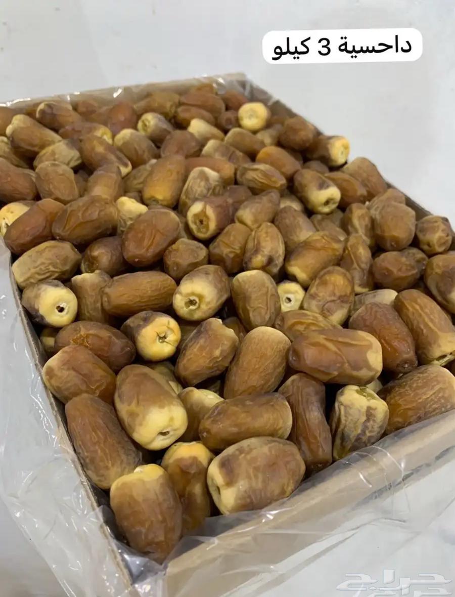 تمر حايل رطب ومناصيف64390277897475113