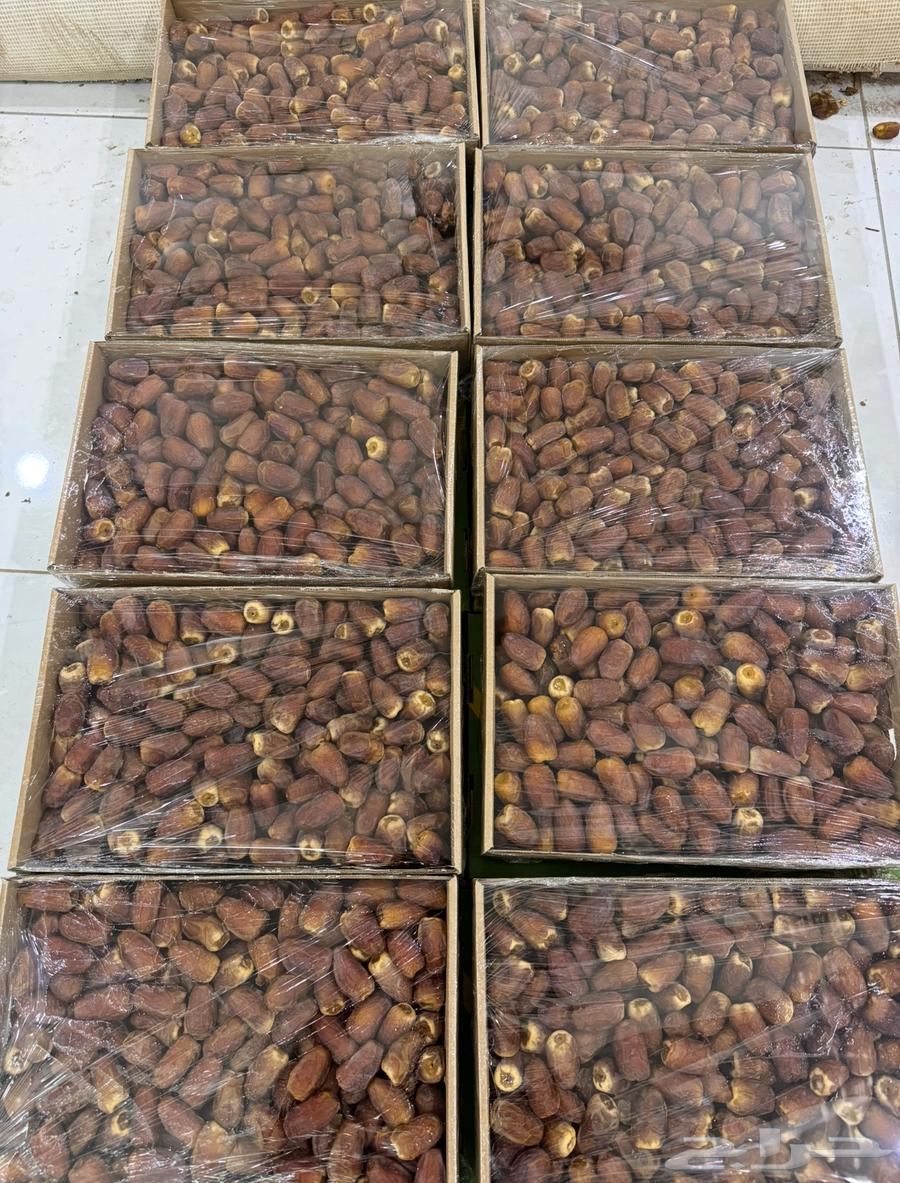 تمر حايل رطب ومناصيف64390277897475114